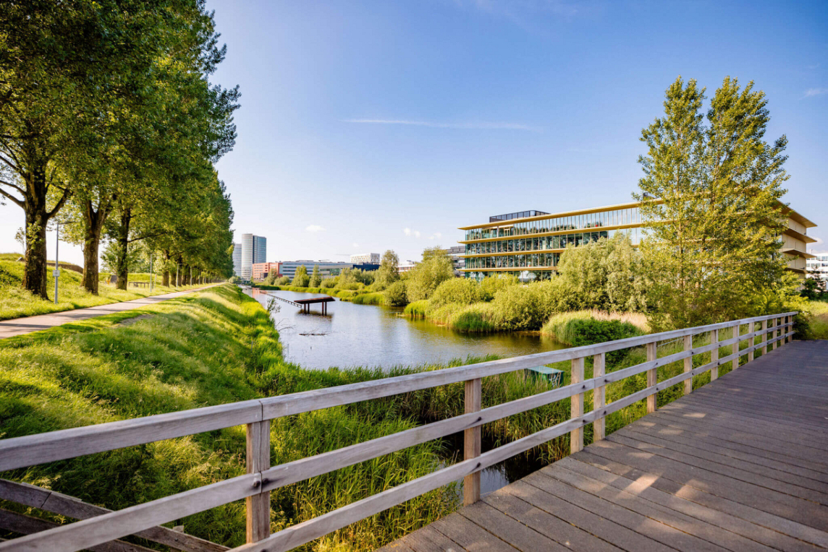 triple detachering en advies 3