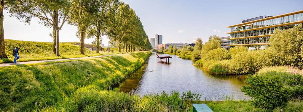 triple detachering en advies datachering over ons