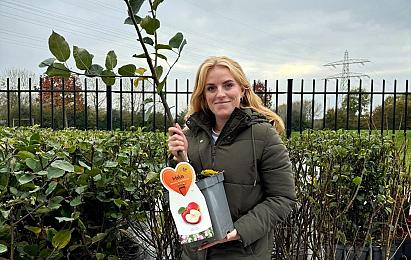 sanne geers actieplan groenen tuinen triple nieuws